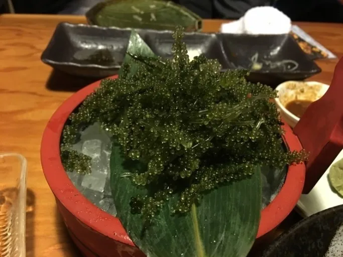  Хорошая цена морской виноград морская трава/суши/вьетнамские продукты Европейский сертификат (Ms Деми: + 84 961 733 400)