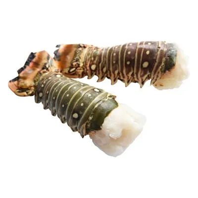 Best Export Quality Live Lobsters For Discount Price