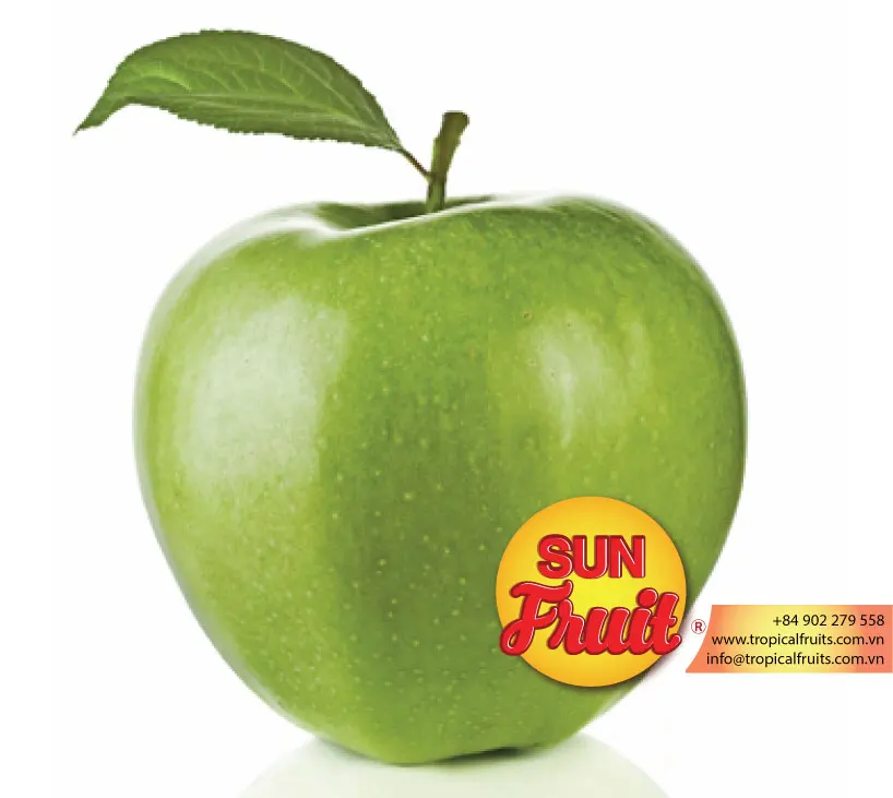 
Fresh Green Apple Wholesale 