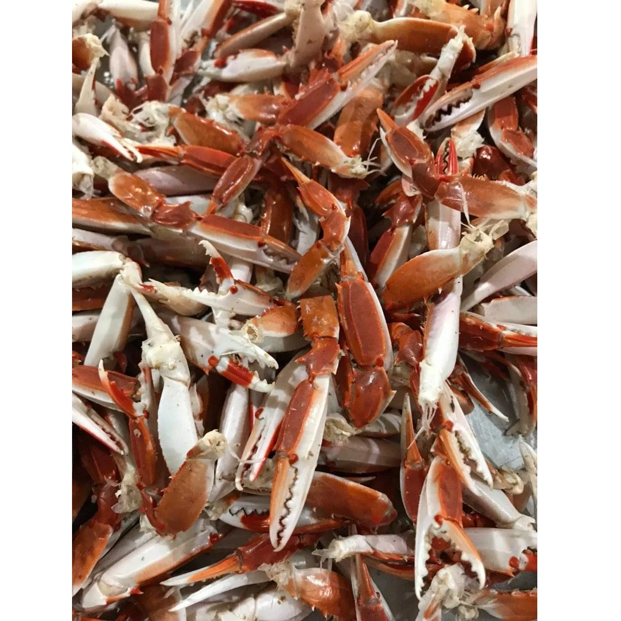 Хит продаж, свежие натуральные морепродукты без кожи, еда, воздушно-высушенные готовые крабы-пауки для приготовления пищи от частной торговой марки во Вьетнаме