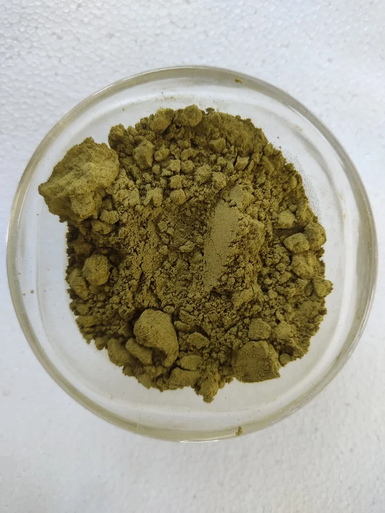 Papaya Leaf Powder.jpeg