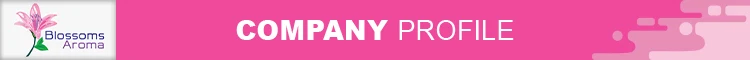 title strip.jpg