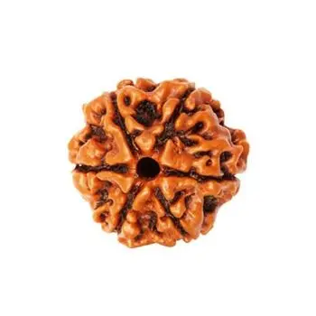 Wholesale Natural 6 six Mukhi  Rudraksha Jap Mala Manufacturer Handcraft Handmade Product India 2021 Jap mala rudraksh