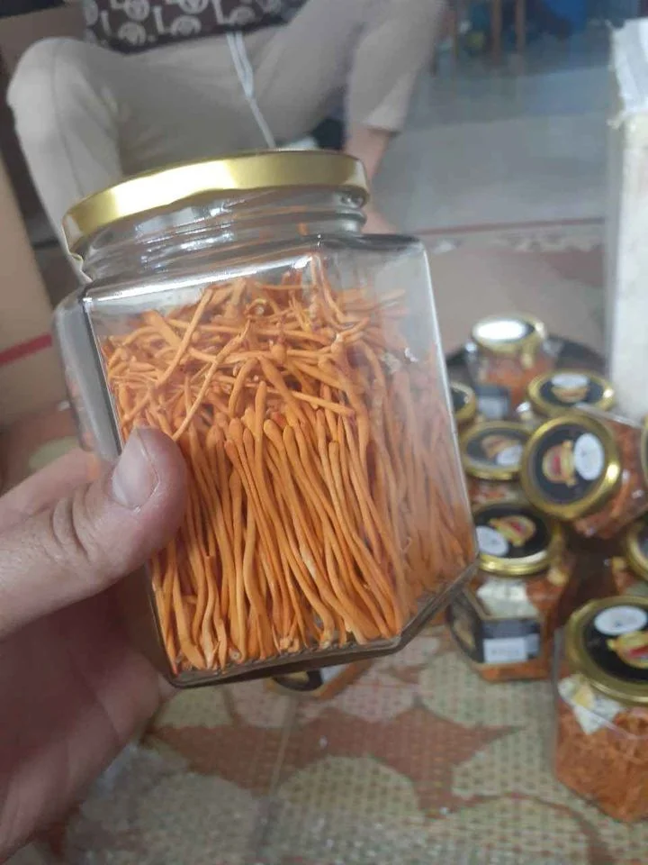 Сухой Кордицепс милитари сушеный для хорошего здоровья/MS.Donna