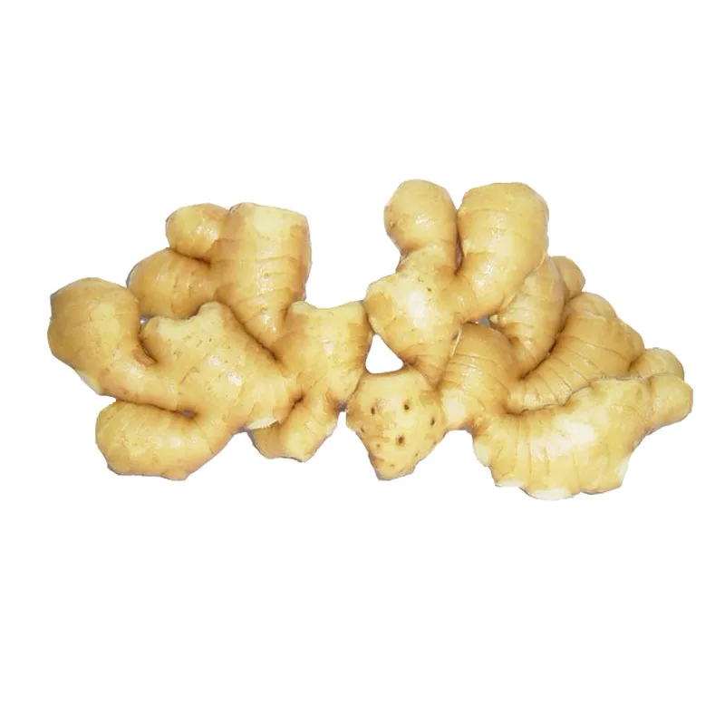 
Shandong fresh ginger for export 