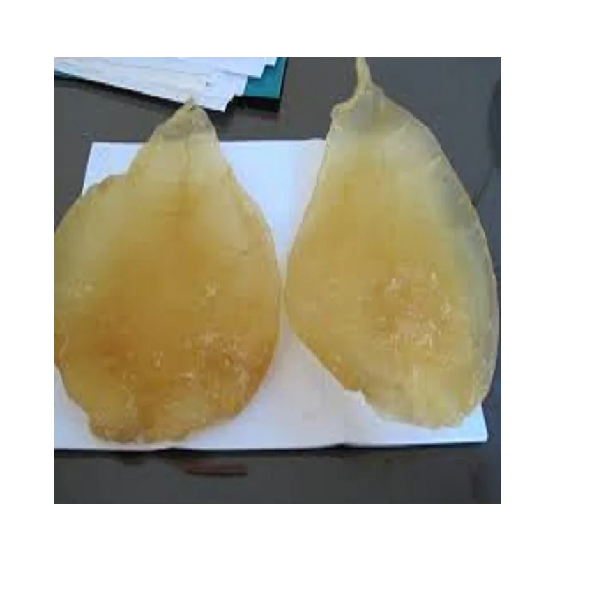 Dried sea bass fish maw high quality