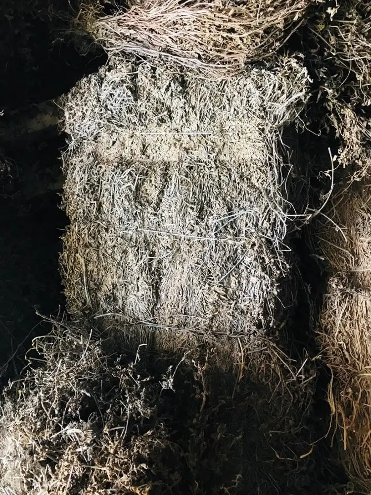 
Dried black jelly leaf for processing high quality 