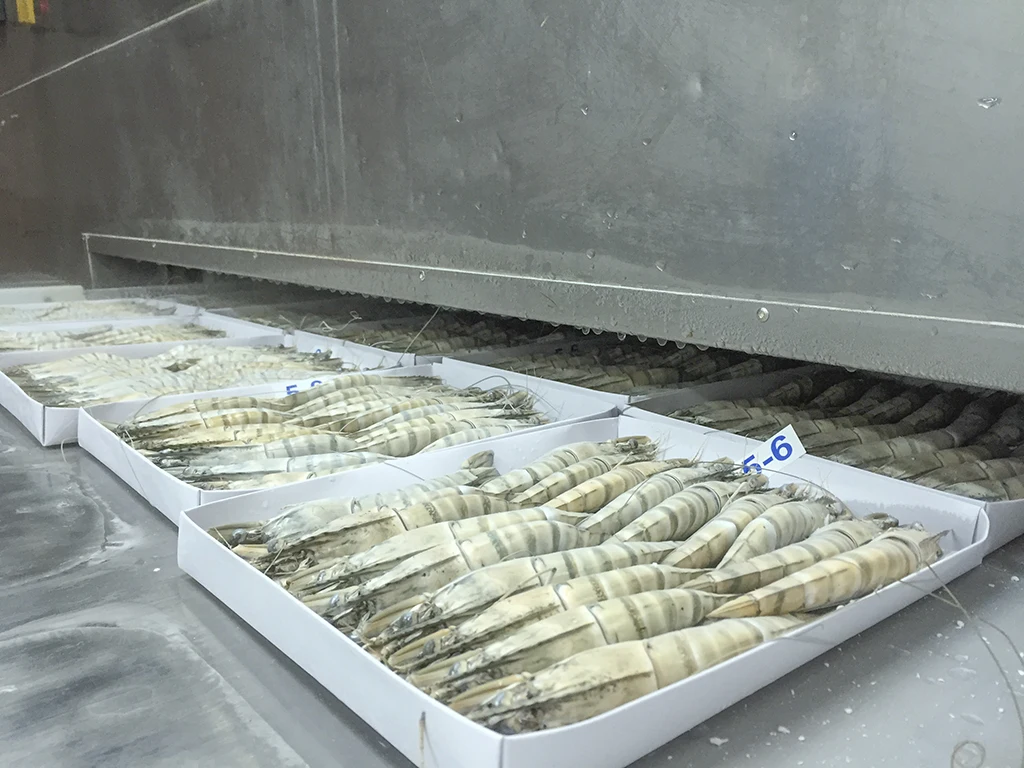 Замороженные Черные Тигровые Креветки HOSO европейского стандарта оптовая продажа экспорт из Вьетнама/Замороженные гигантские тигровые креветки на голове