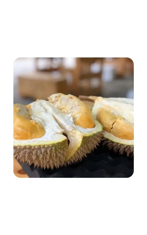 Свежий дуриан для оптового экспорта сладкий вкус 100% органический // Jolene + 84 336089155