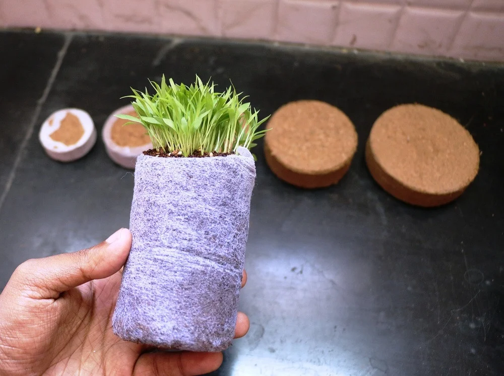 Кокосовые торфяные диски для бытовых плантаций садовые семенные блоки и ямы кокосового ореха