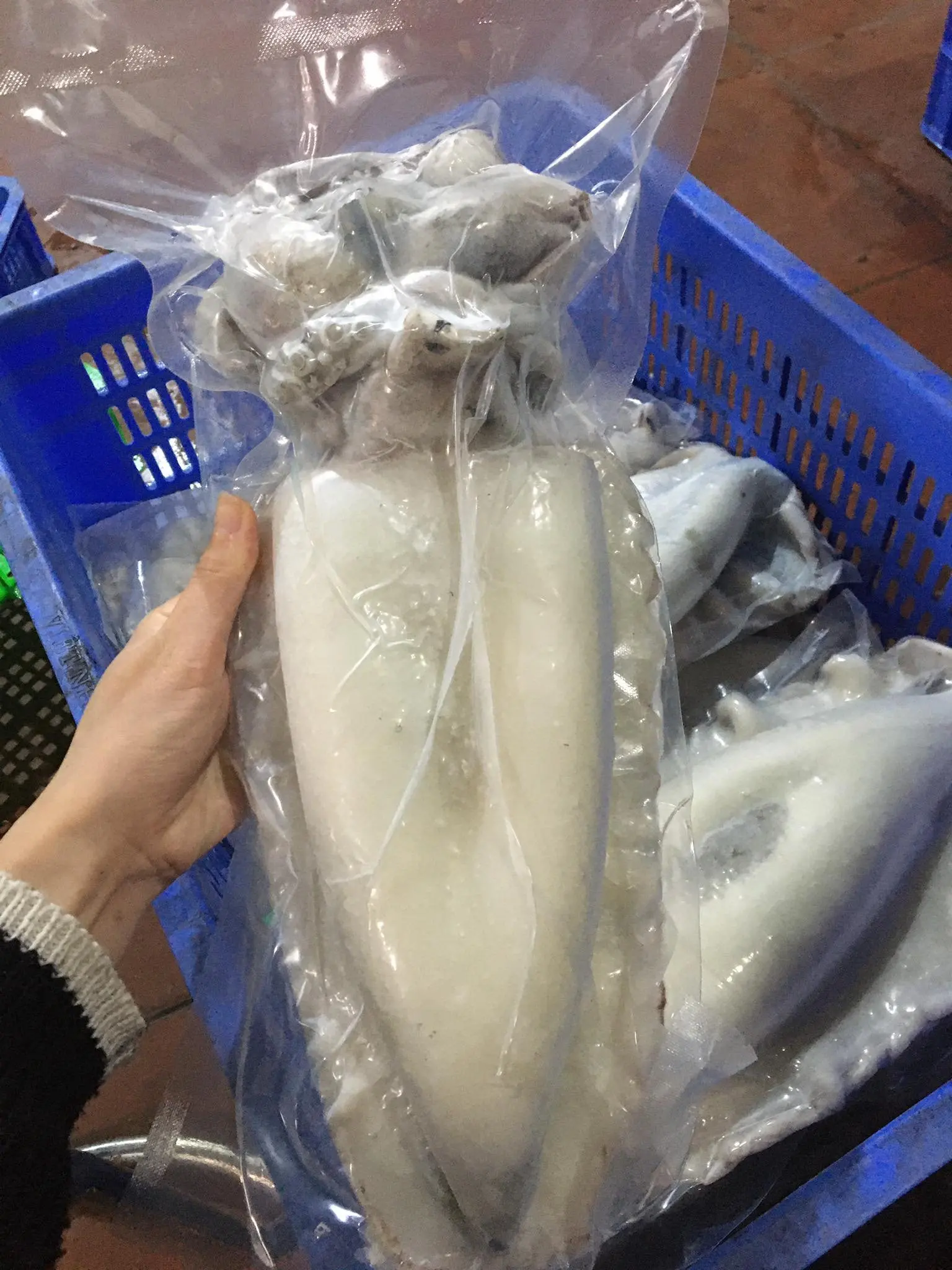  Вакуумная упаковка замороженных морских слепков класса А вьетнамский кальмар сырье естественный цвет