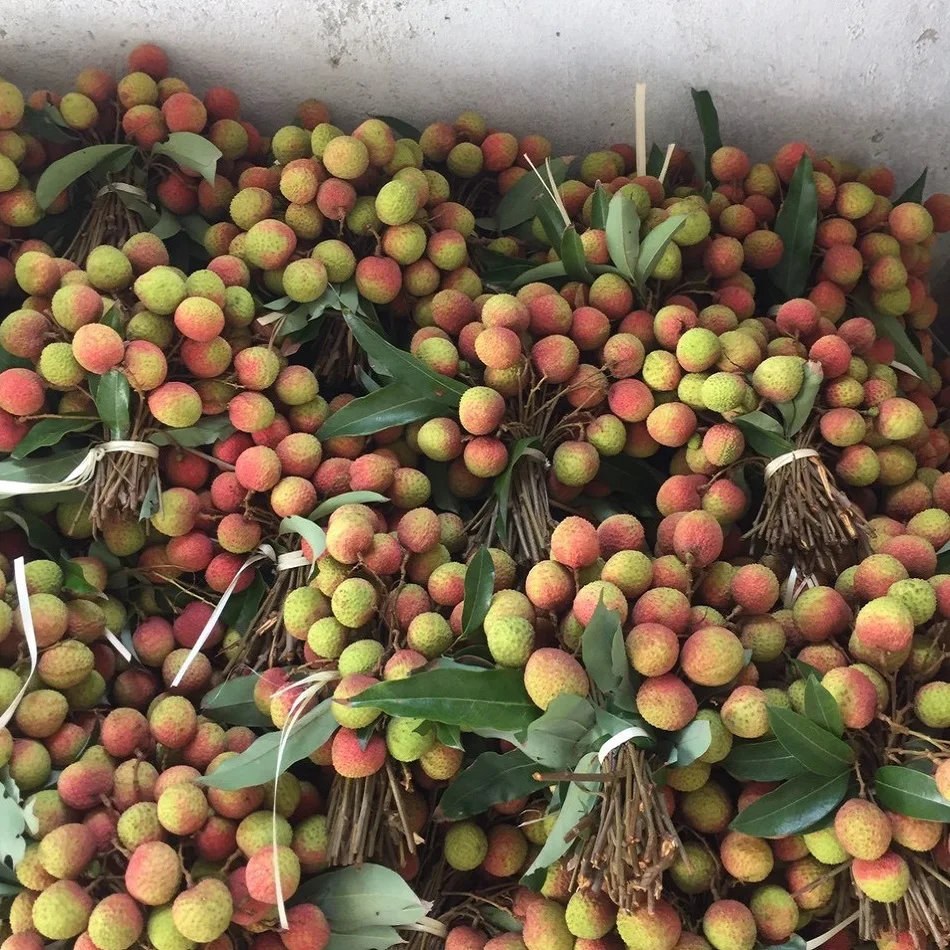 Вкусные личи тропические фрукты мясо вкусные и безопасные номер один во Вьетнаме