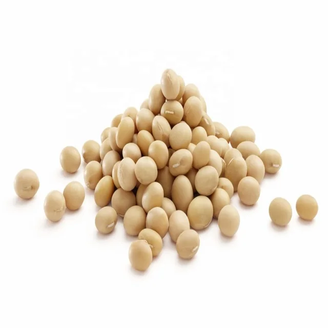 
Food Organic Soybean/ Soya Bean/ Soybeans brazil 