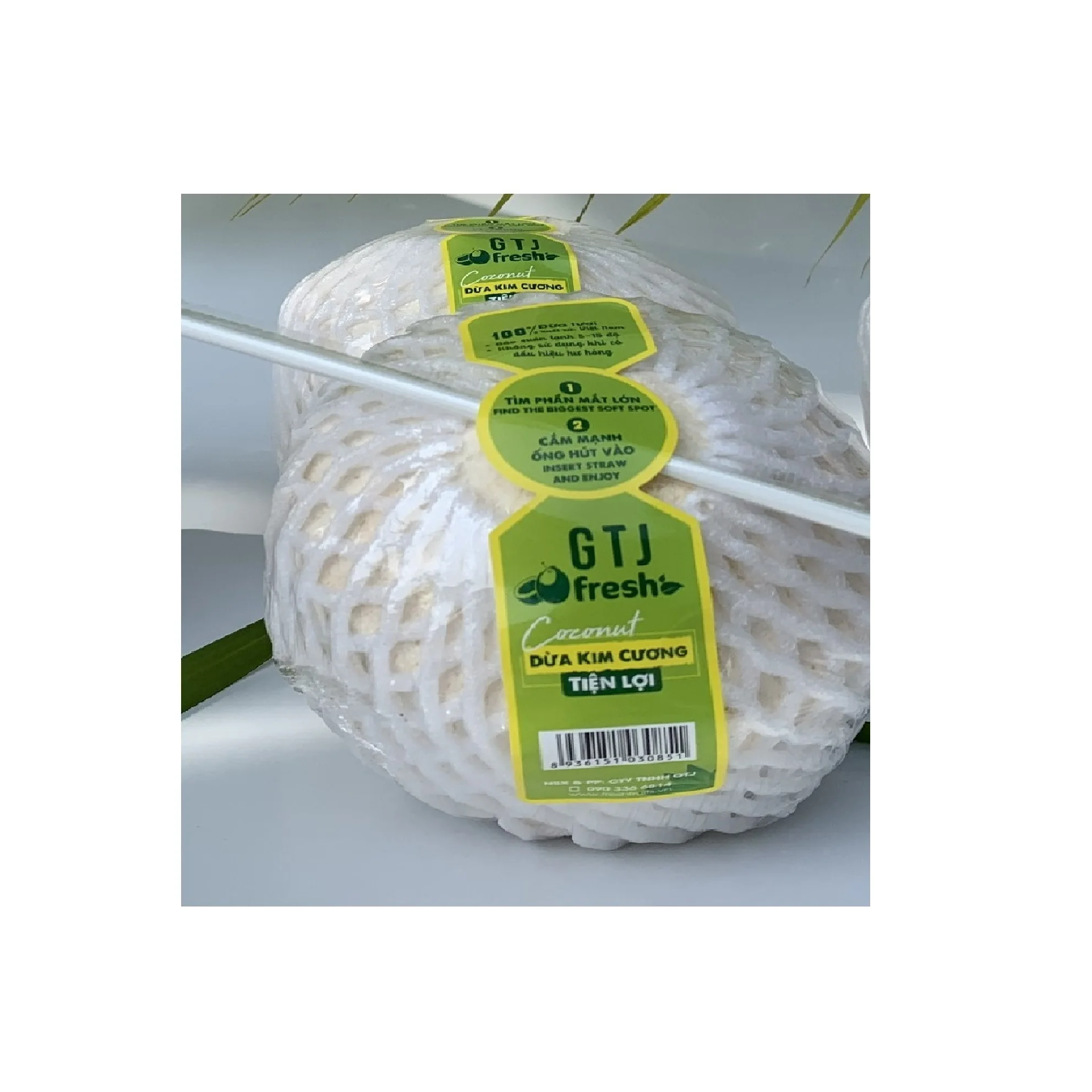 
100% fresh coconut from Mekong Delta Convenient Diamond Cut Shape Coconut exporter from Vietnam 