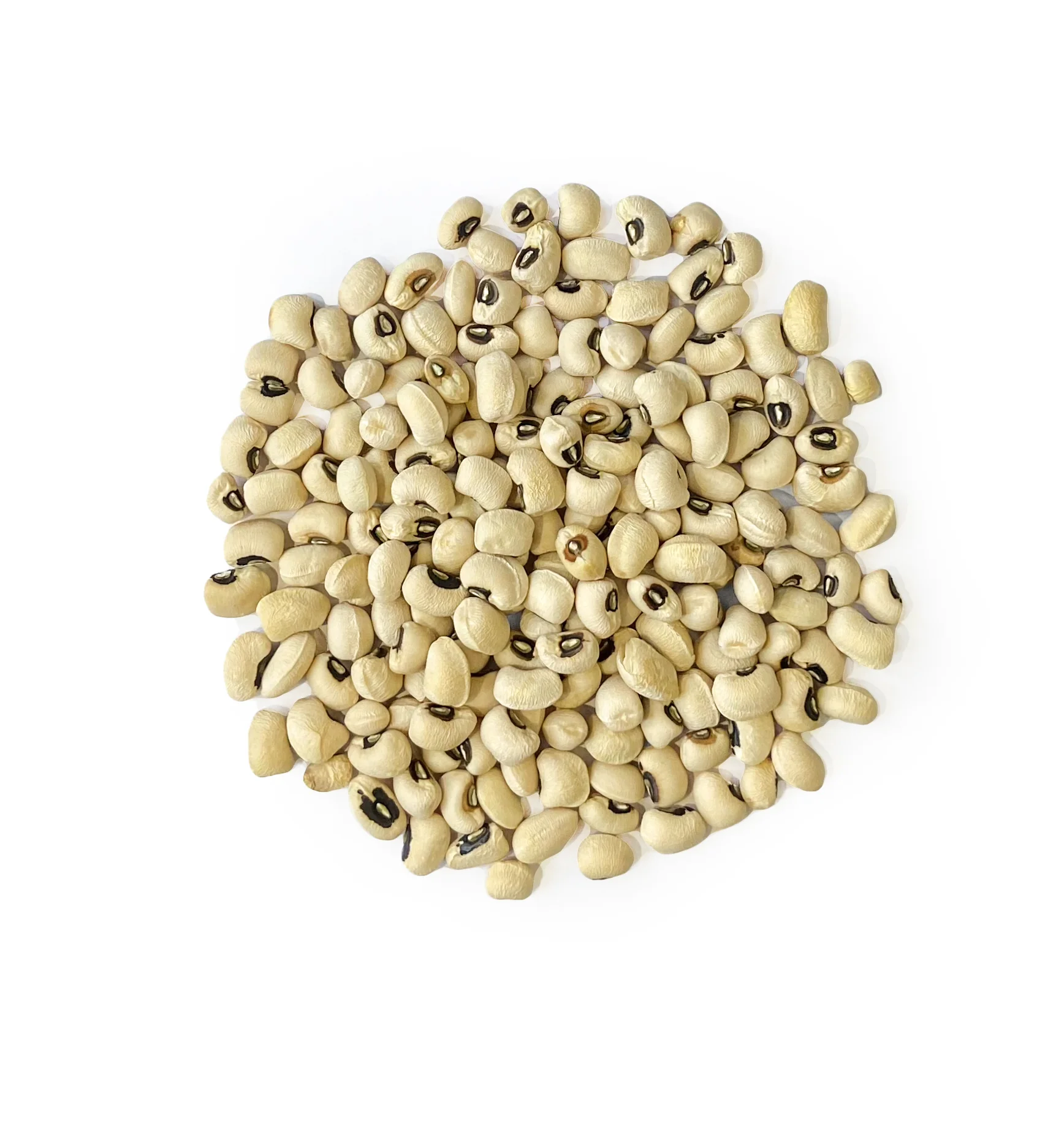 Sofia Agro crop 2021 October wholesale good quality from Uzbekistan bags 25 kg natural dried black eye beans