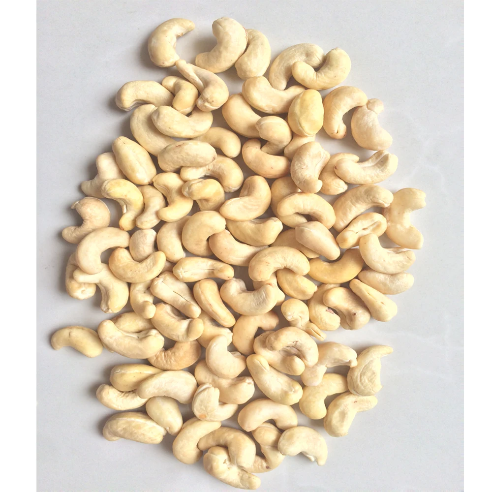 Wholesale High Quality Cashew Nuts W320 from Qualified Company Vietnam Premium Cashew Nut Products In Bulk Cashew Nut Raw