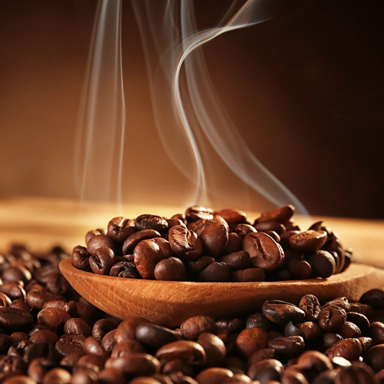 Best Quality Roasted Coffee Beans Sale at cheap price