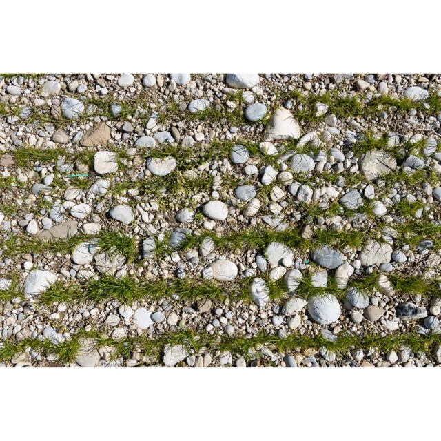 Special for Christmas Italian Dry Red Wine Pinot Nero I Feudi di Romans 0,75 L Wine botte Red Wine Bottle For Sale