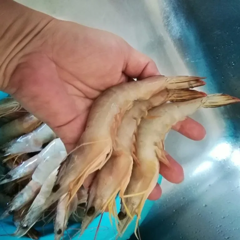 Морепродукты марки MiCAN FOOD свежие замороженные белые креветки из