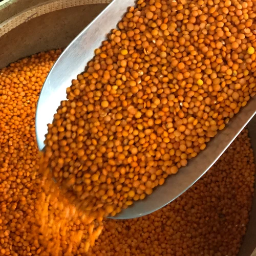 Лучшее качество, австралийская красная спилка и красная чечечевица