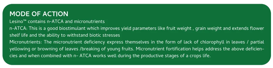 Screenshot (1027).png