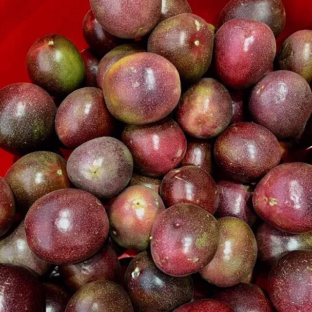 Passion Fruit 2022 From Vietnam, passion fruit seeds, Best Seller 2022