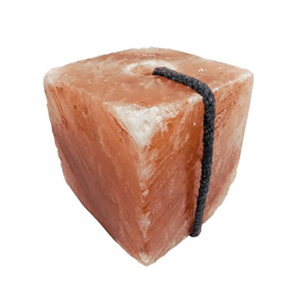 Best Pink Enhance Animal Health with Salt Blocks for Animal Lick Feed from Sian Enterprises