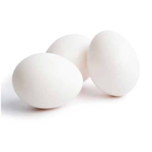 OSTRICH EGGS