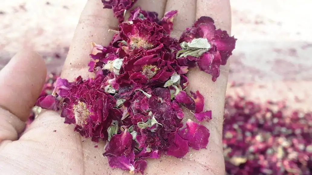 Dried Rose petals 100% natural full flower and rose petals only