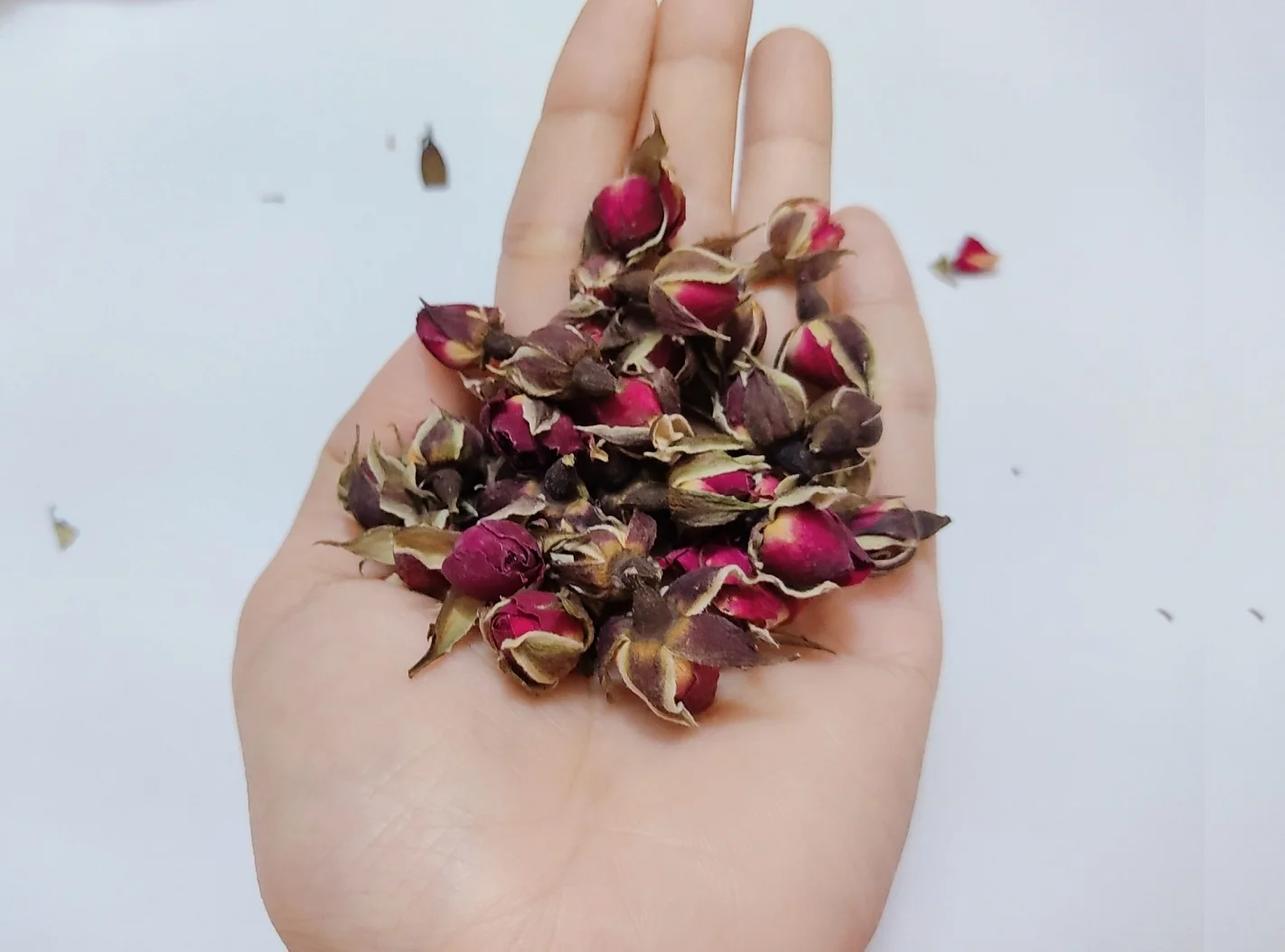 OEM Tea Bag Edible Dried Rose Buds High Quality Rose Bud Tea with Natural Herbal   W/A : +84 90 335 4981 ( Kim )