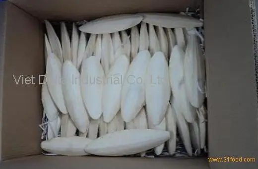 Fresh VIETNAM CUTTLEFISH BONE 2021 Ms. Annie +84 973125732 ( Whapsapp )