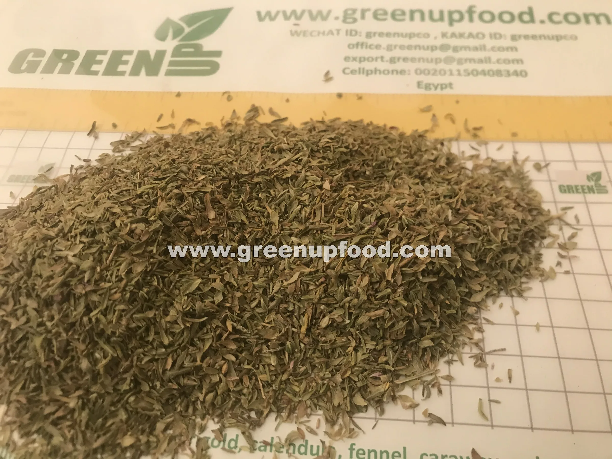 Листья орегано зеленого цвета без содержания золы без добавления ЧЕРНЫХ ЛИСТЬЕВ без примесей свежий урожай оригинальный обычный