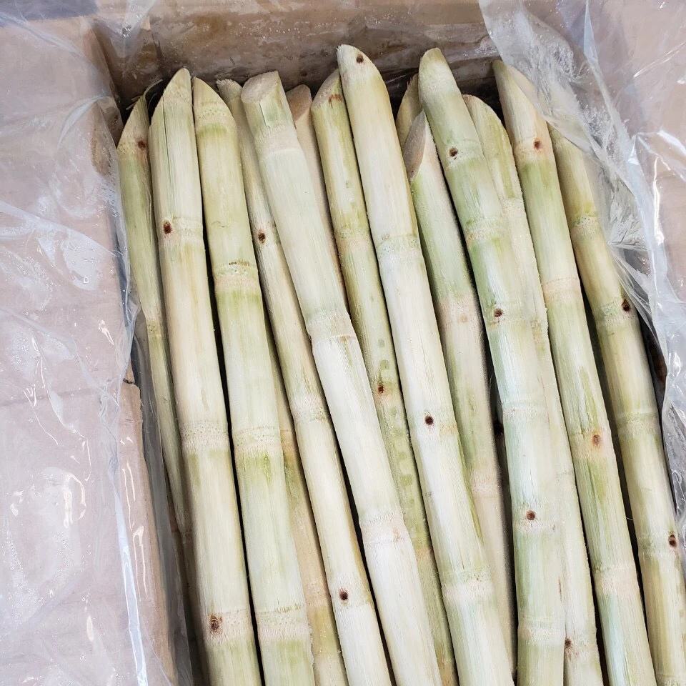Frozen SUGARCANE FOR JUICE , contact  +84984418844  whatsapp