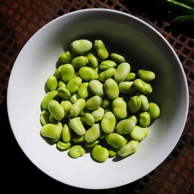 Broad Beans high quality dry raw fresh frozen Bean fava bean green iqf whole split broad beans vicia
