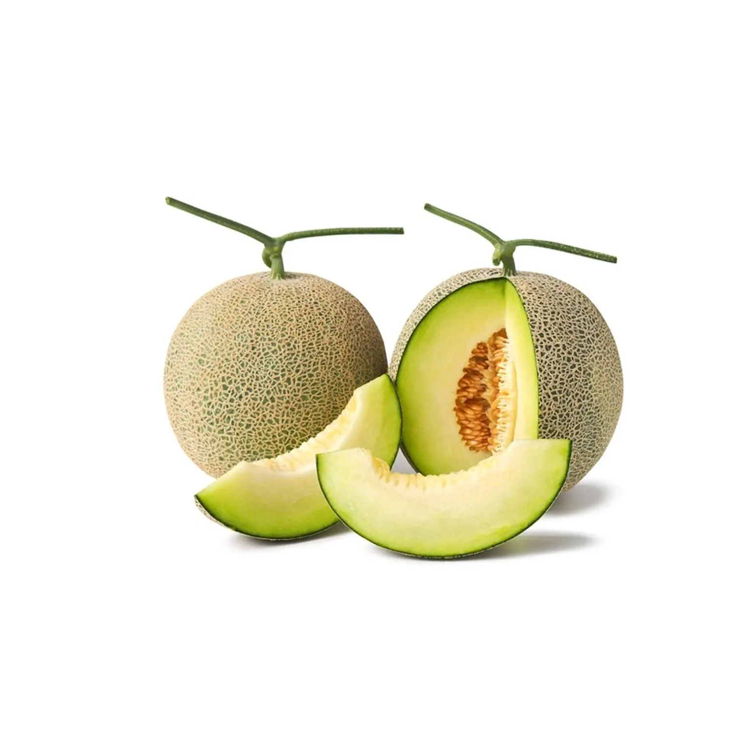 Высокое качество и конкурентоспособная цена свежий канталуп Хами Дыня