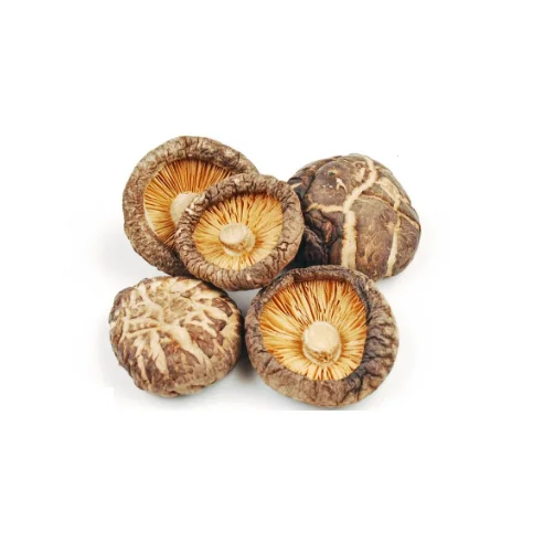 Viet Nam Manufacturer San Dried Shiitake Mushroom 80gr With The best Price For
