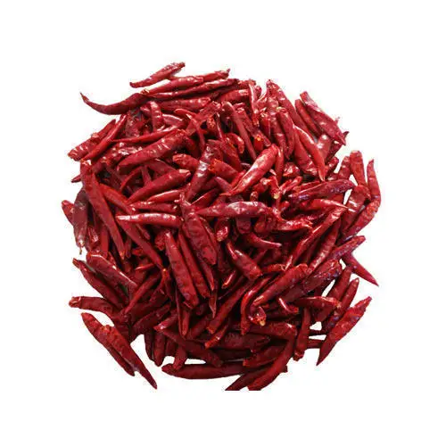 High Quality Red Dried Chilli for Seasoning Direct from Manufacturer Hot Selling Chillies Best Price without stem