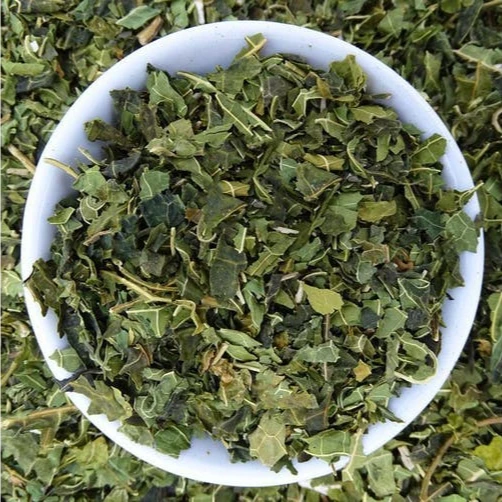 
Herb dried papaya leaves/ wholesale dried papaya leaf/ tea herb from Vietnam 
