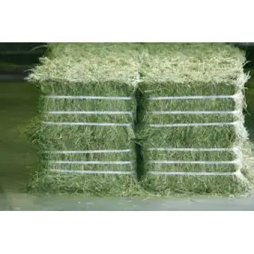 Высококачественный смешанный сено, альфафа сено