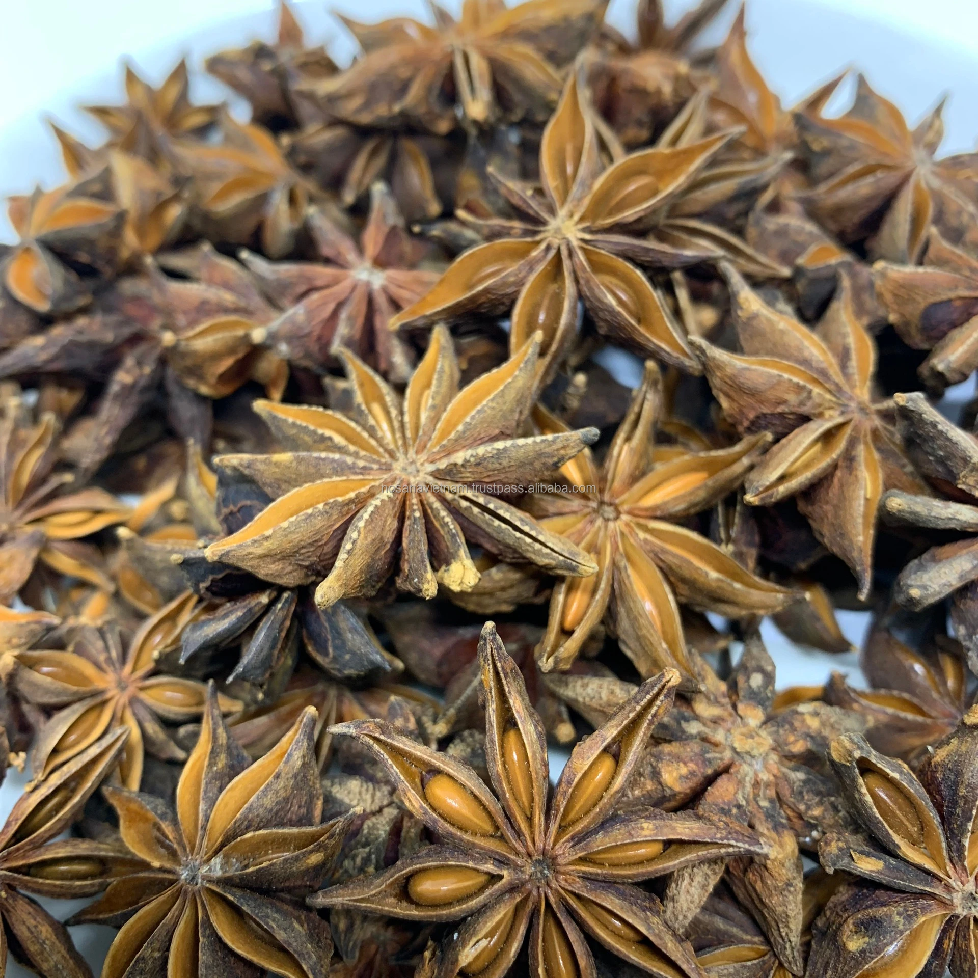New crop high quality star anise Vietnam 2021