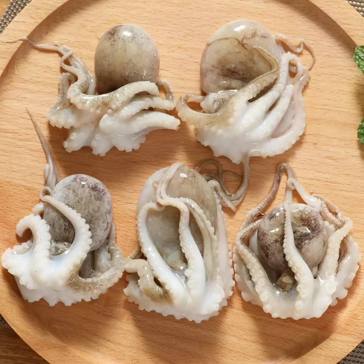 
Wholesale frozen whole cleaned octopus fish factory export (Certification: HACCP ...) 