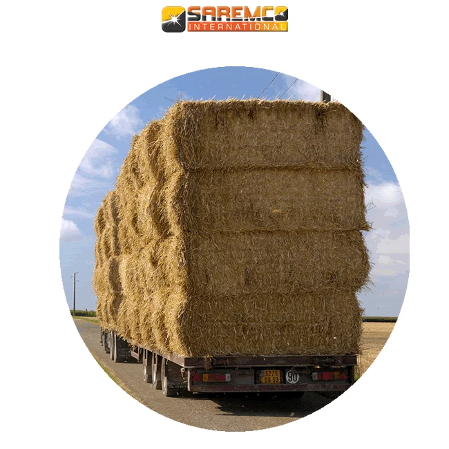Best Quality Rice Straw Hay For Animal Forage / Bulk Quantity CFR Delivery