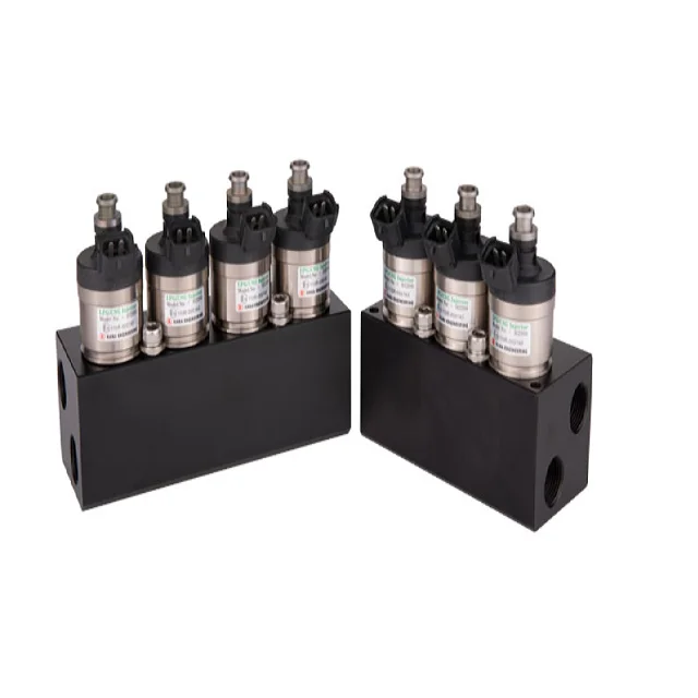 
High Quality GAS Fuel CNG/LPG rail type injector for Heavy Duty Truck H2200 lovato cng ecu denso injectors made in Korea 