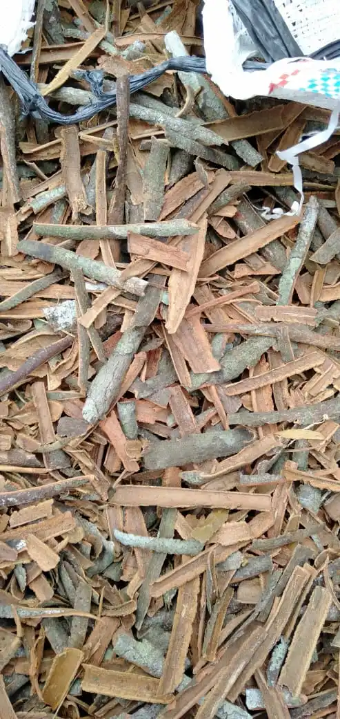  Корица Кассия кабик KBBC вера А сломанная хорошая цена и качество из Индонезии