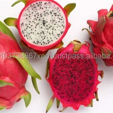 FRESH DRAGON FRUIT FROM VIETNAM  with the high quality 2020 - contact to +84 845 639 639
