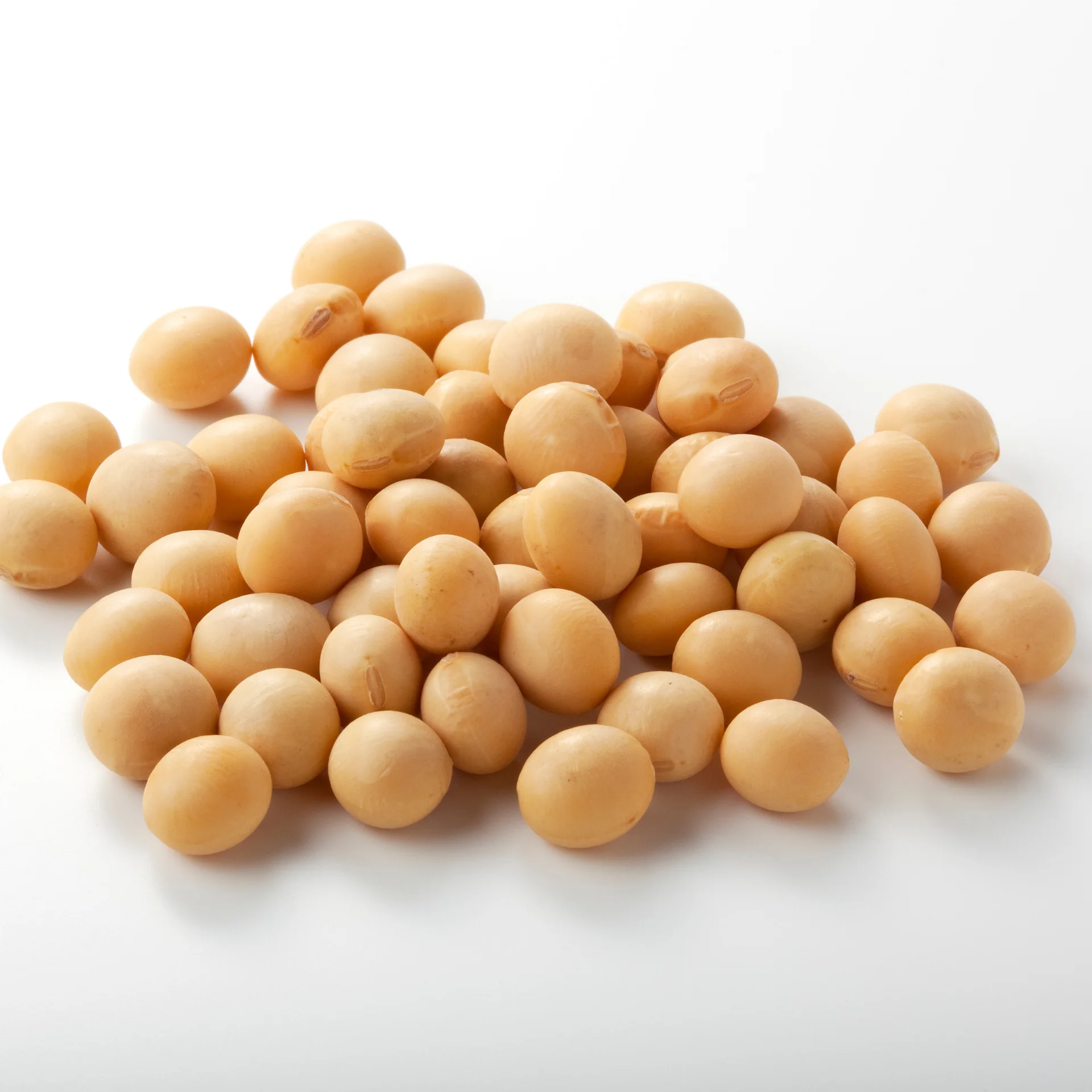 Соевая фасоль-высокий уровень белка высокое качество