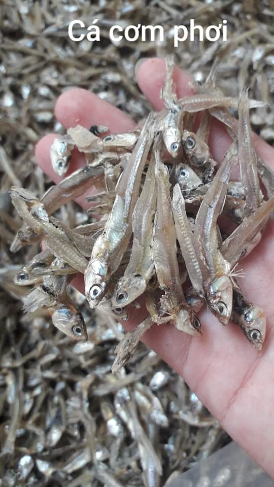 Best quality Dried anchovy by sunshine from Vietnam High nutritive dry anchovy fish/ dried anchovy