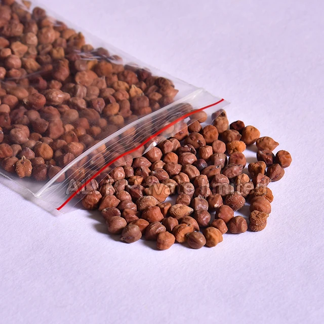 Premium Quality of grains and pulses high in dietary fiber CHICKPEAS whole sale with Good Prices