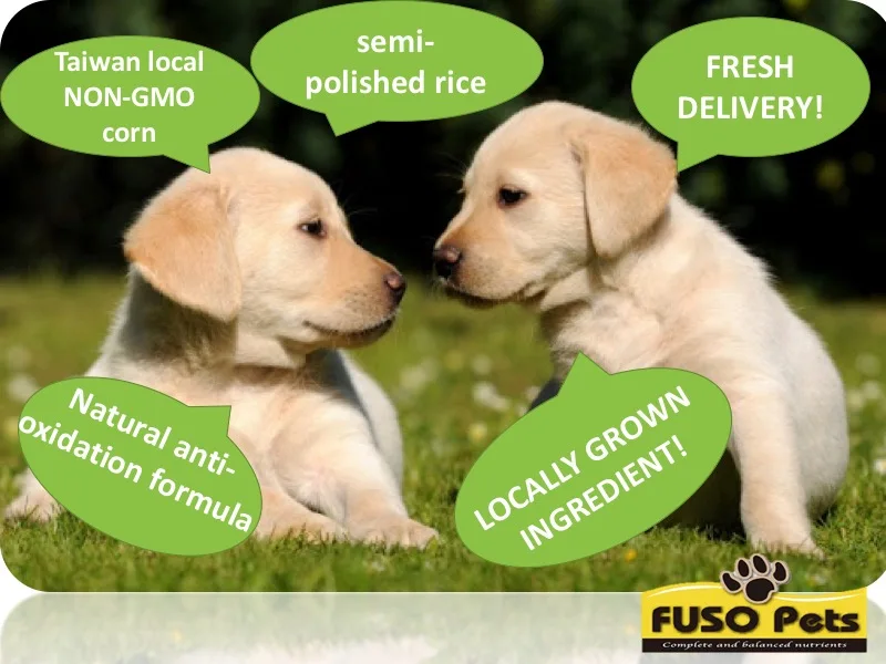 Manufacturer Wholesale Bag Dried Puppy Dog Food Oem