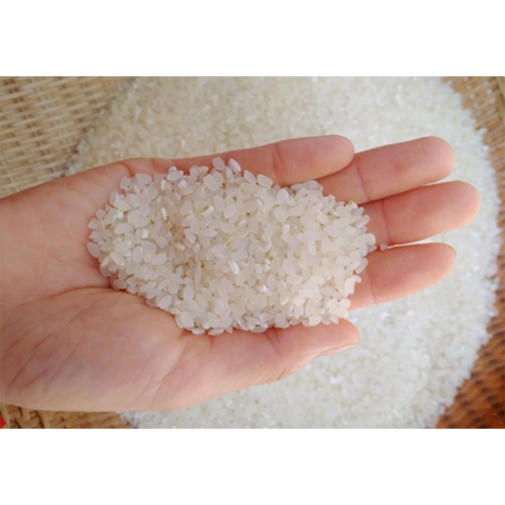 100% Broken Rice Food Grade Grain for Animal Feed for Cattle Horse Pig and Horse